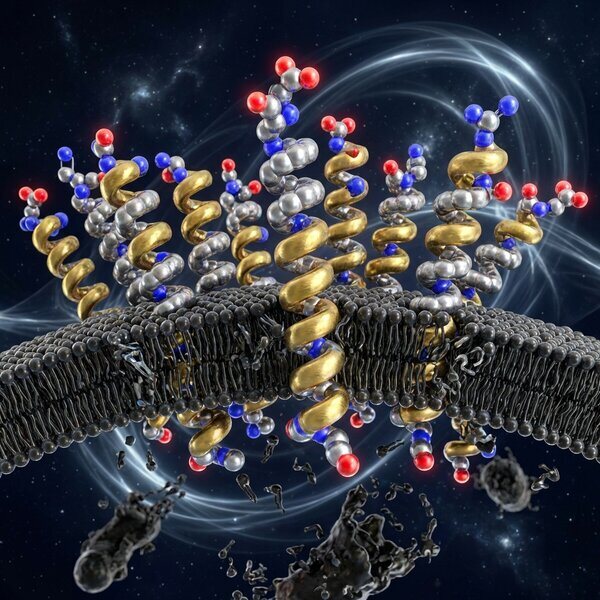 LL-37 molecular visualization